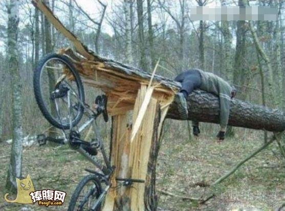 up%2Bthe%2Btree.jpg