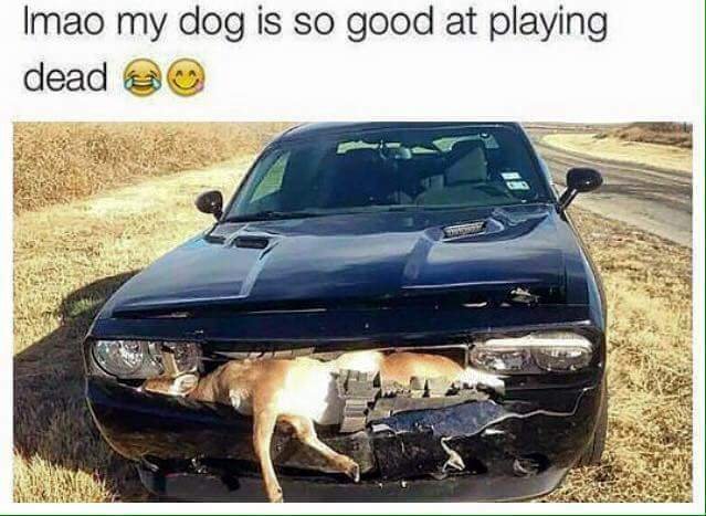 i87_13267957_525486877654186_48698598185