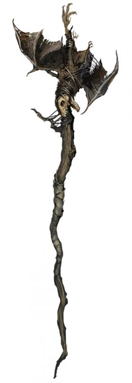 Nuotrauka