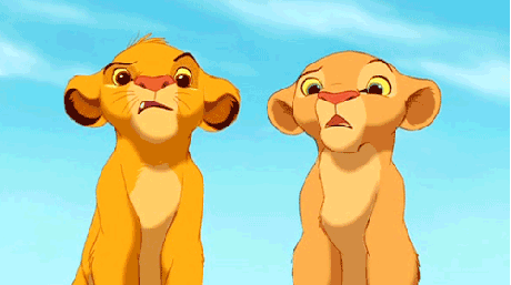 FyJdci6.gif