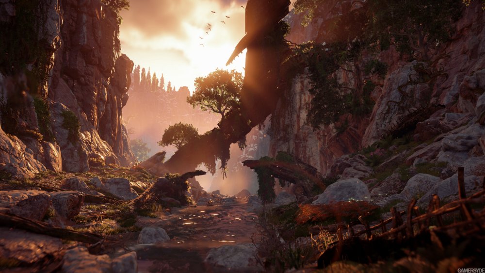 image_horizon_zero_dawn-33910-3283_0004.jpg
