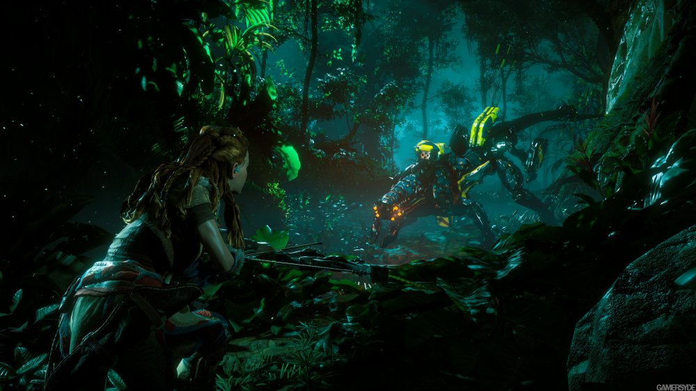 image_horizon_zero_dawn-33910-3283_0006.jpg