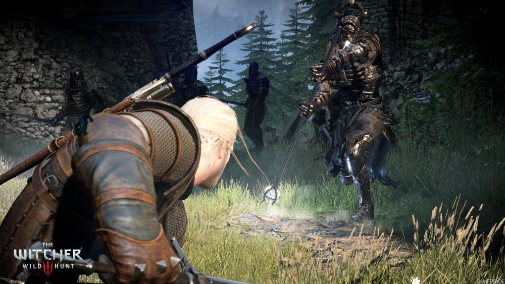 image_the_witcher_3_wild_hunt-25218-2651