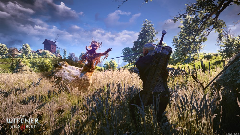 image_the_witcher_3_wild_hunt-25218-2651