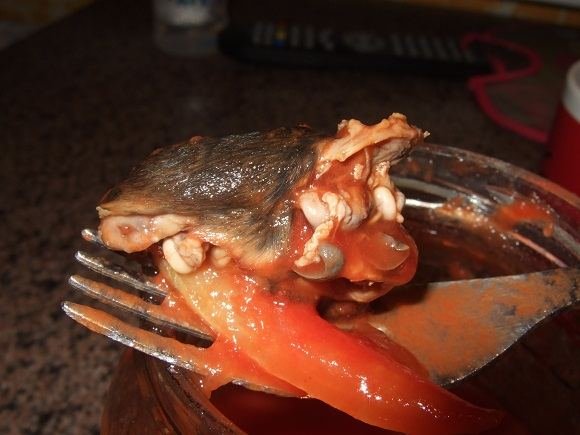 Nuotrauka