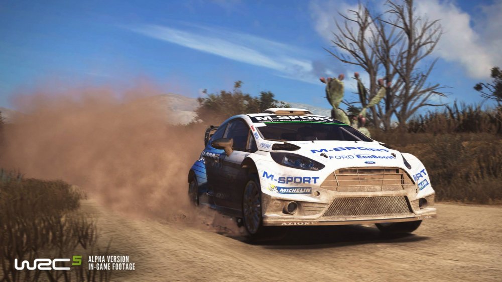 WRC%205%20Ford%20Fiesta.jpg