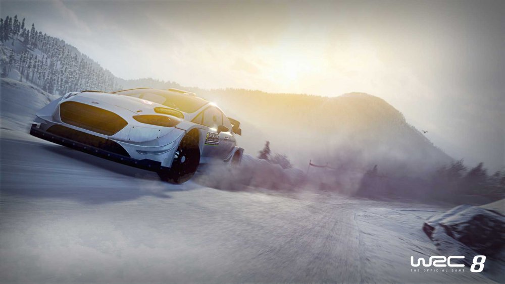 wrc-8-in-game-screenshot.jpg