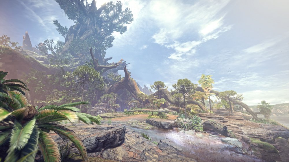 206671_Sp1f6jrlwe_ancient_forest.jpg