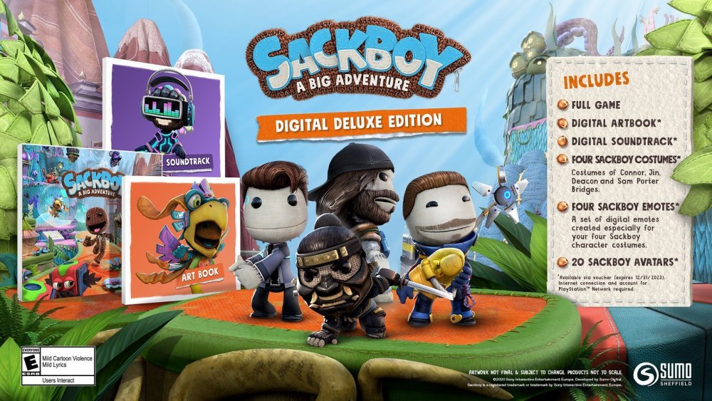 3740427-sackboydigitaldeluxe.jpg