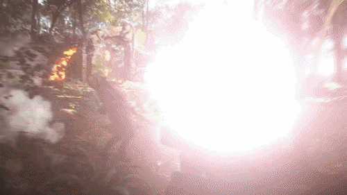 AnotherIgnorantBlacknorwegianelkhound.gi