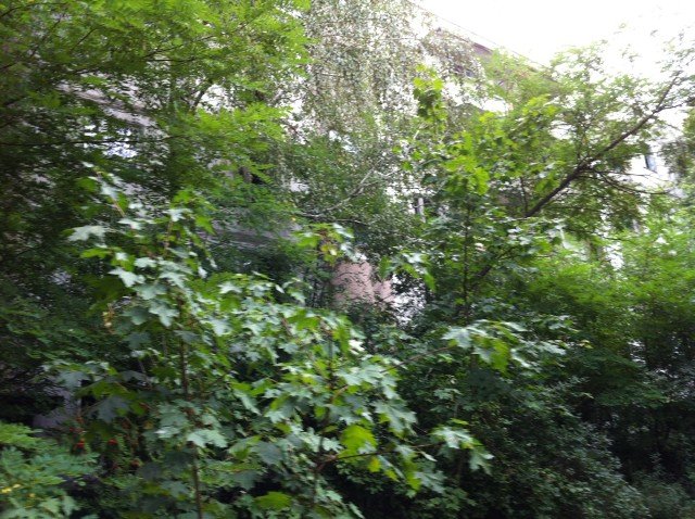 IMG-2851.jpg