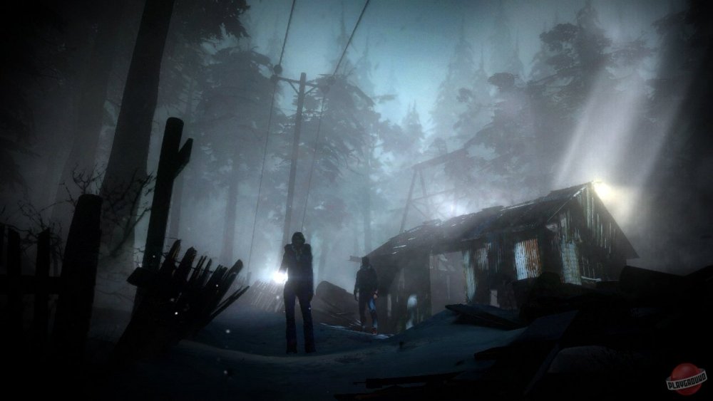until_dawn.jpg