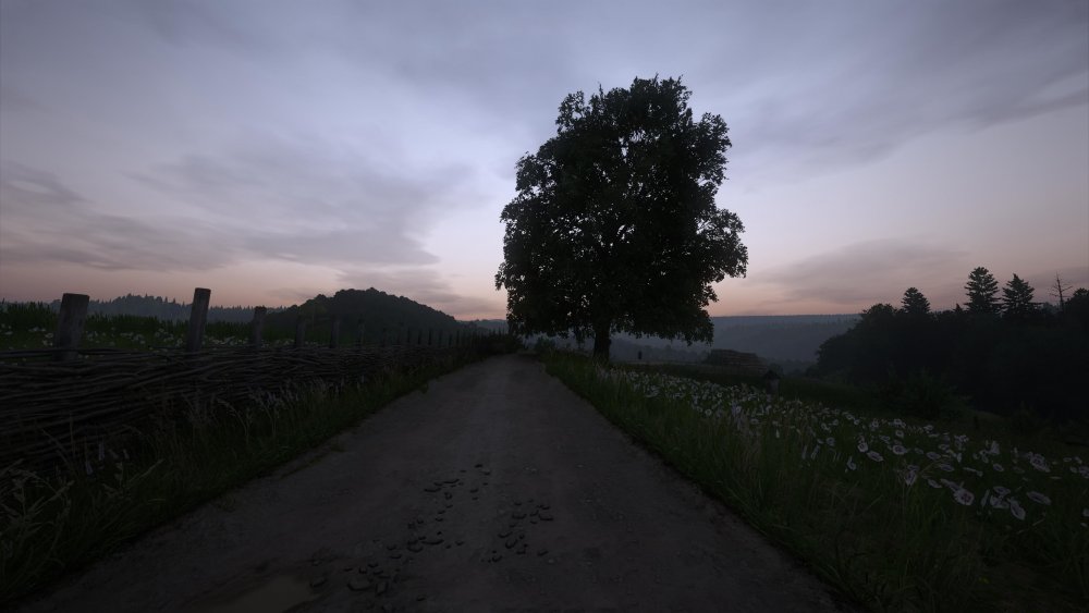 60201915.jpg