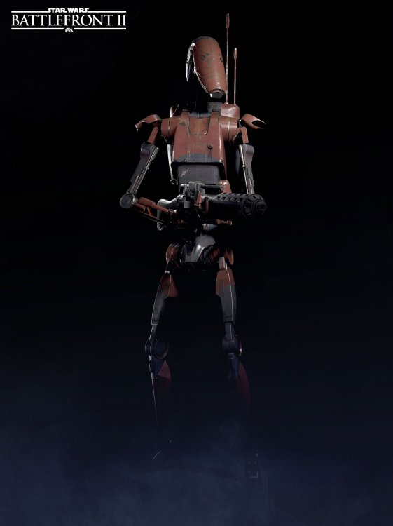 23134898.jpg