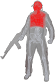 Head/Chest