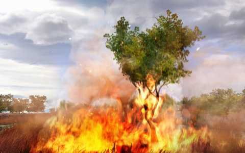 Propagating fire.