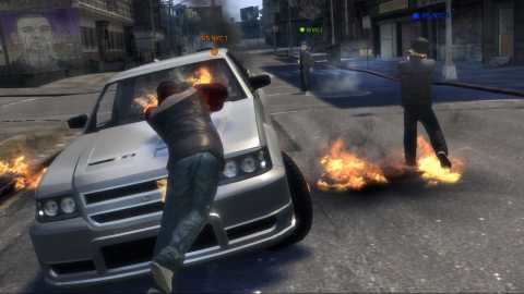 Roadkill