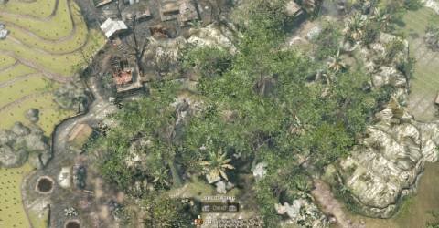 Jungle