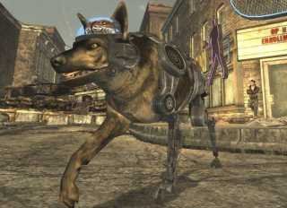 Rex