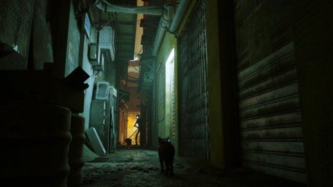 Stray