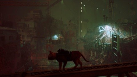 Stray