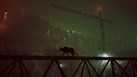 Stray