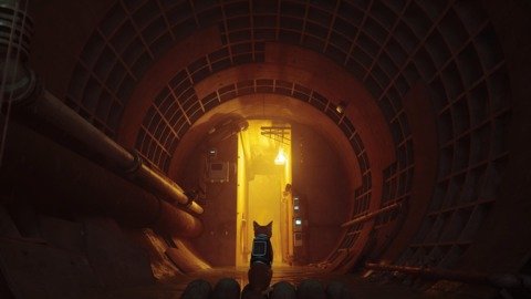 Stray