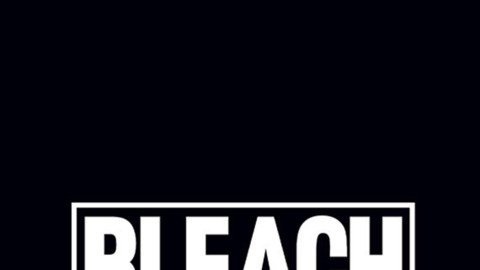 Bleach: Rebirth of Souls