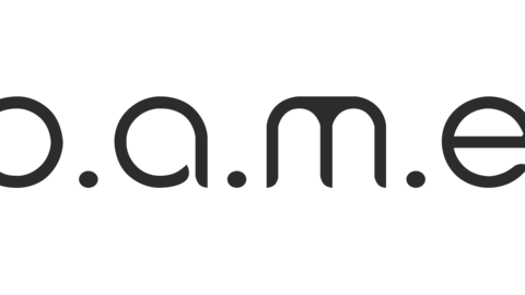 P.A.M.E.L.A.