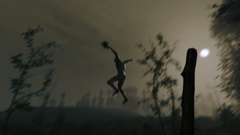 The Forest