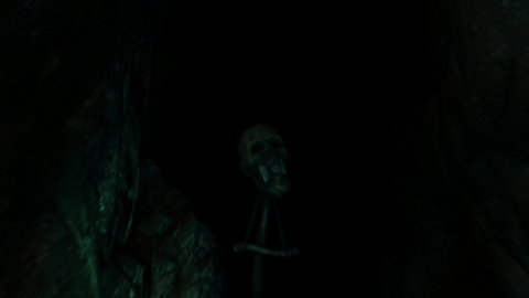 The Forest