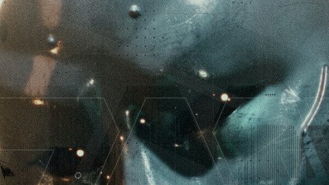 Den of Wolves