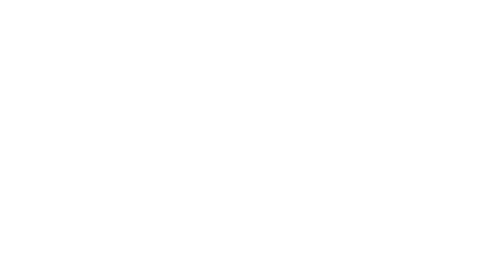 WRC 9 FIA World Rally Championship