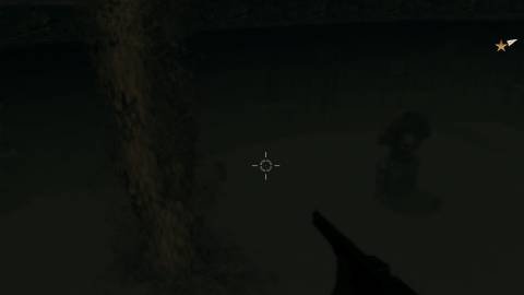 Call of Juarez: Bound in Blood