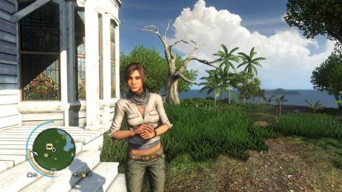 Far Cry 3