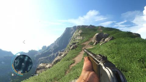 Far Cry 3