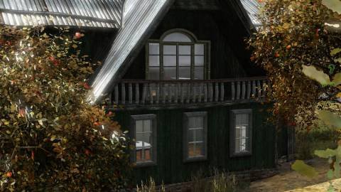 DayZ
