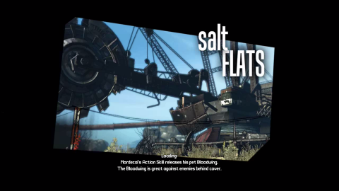 Salt Flats loading screen.