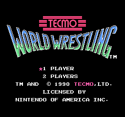 Tecmo World Wrestling (U)  screenshot