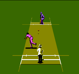 International Cricket (E) screenshot
