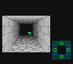 Dungeon Master (J) (v1.0) screenshot