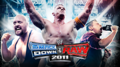 PS3 - SD vs RAW 11