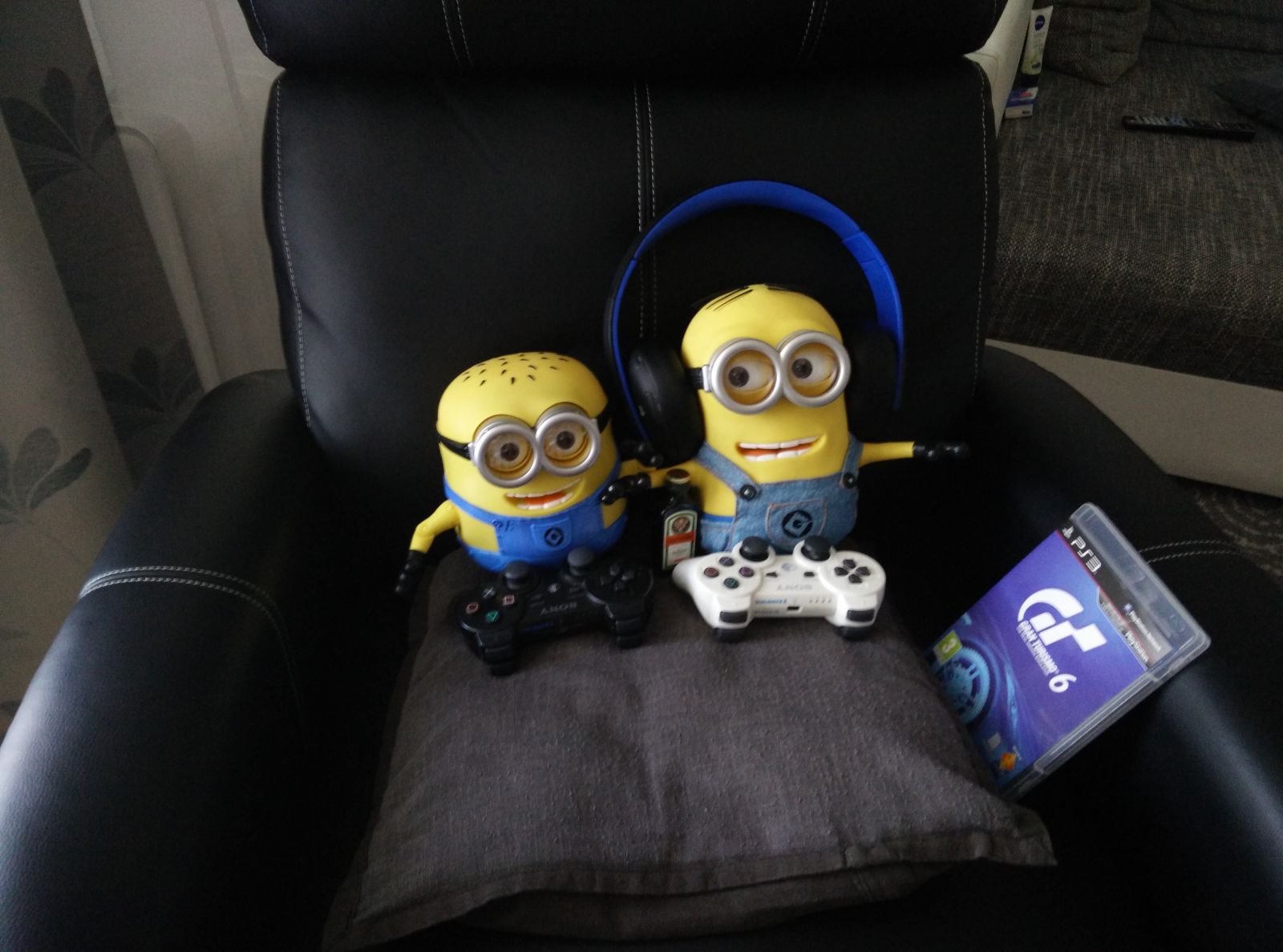 Minionai