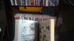 Gameon2016 Manga, šeimos zona