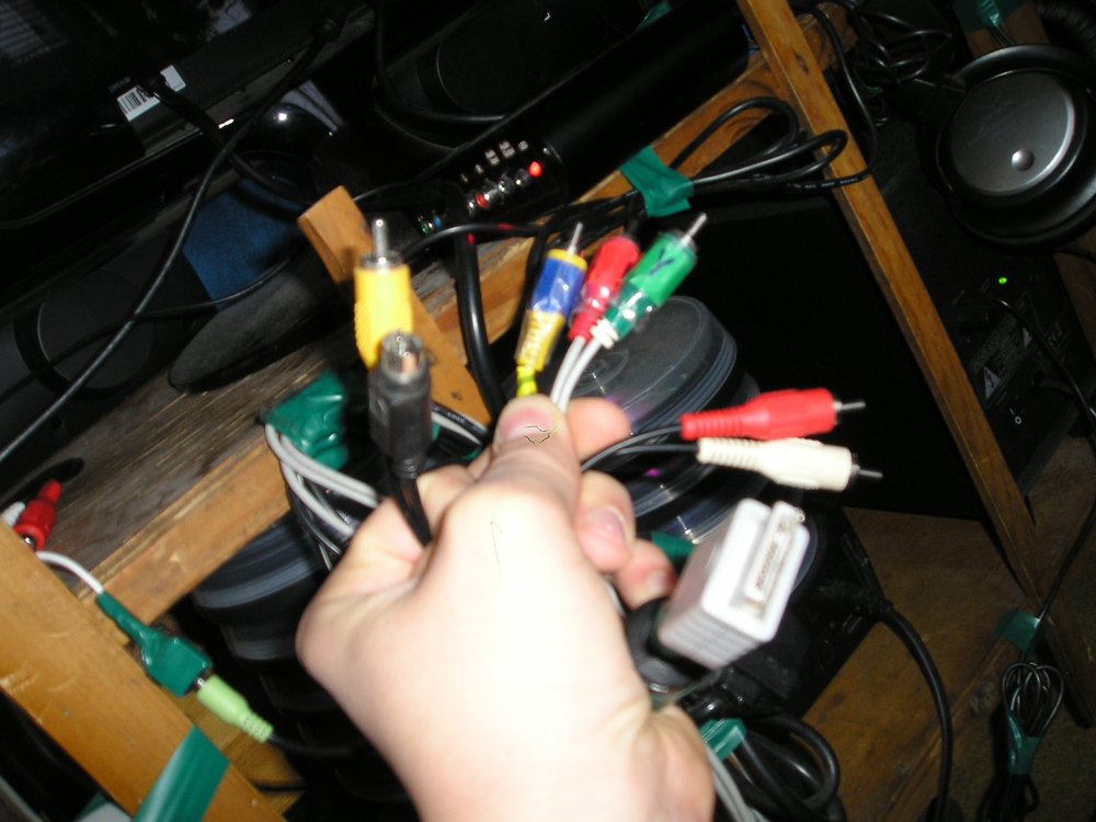 post-18301-1273041377_thumb.jpg