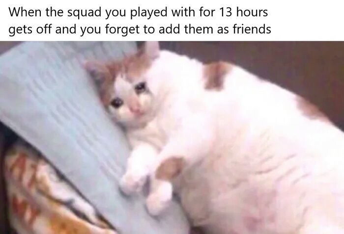 Its-been-a-pleasure-boys.jpg