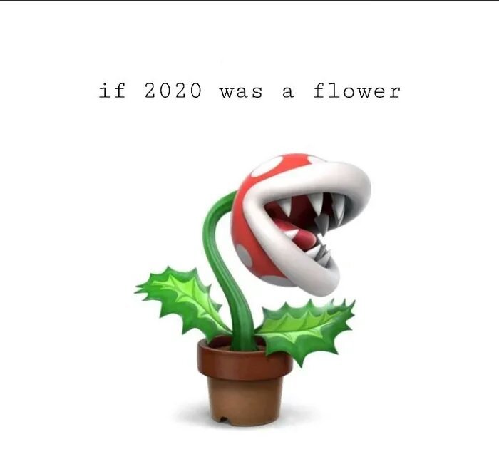 Roses-are-red-riot-for-power-what-it-would-look-like.jpg