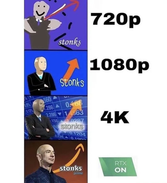 Stonks-for-life.jpg
